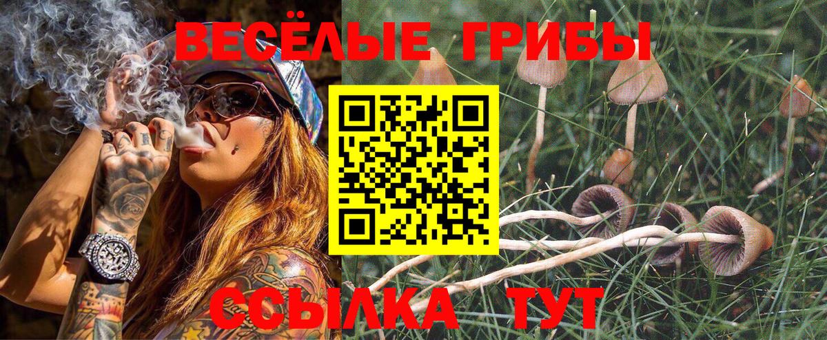 Псилоцибиновые грибы прущие грибы  Вход с VPN  Гусев 