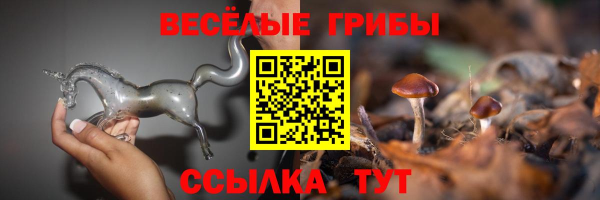 Галлюциногенные грибы мицелий Гусев